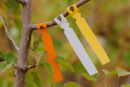 How to Read Nursery Tags