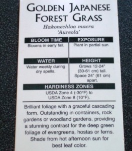 Plant tags and labels can be confusing