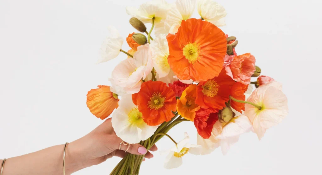 Seasonal Flowers Wollstonecraft 