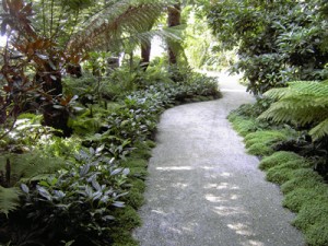 Pea stone or gravel work great for garden paths