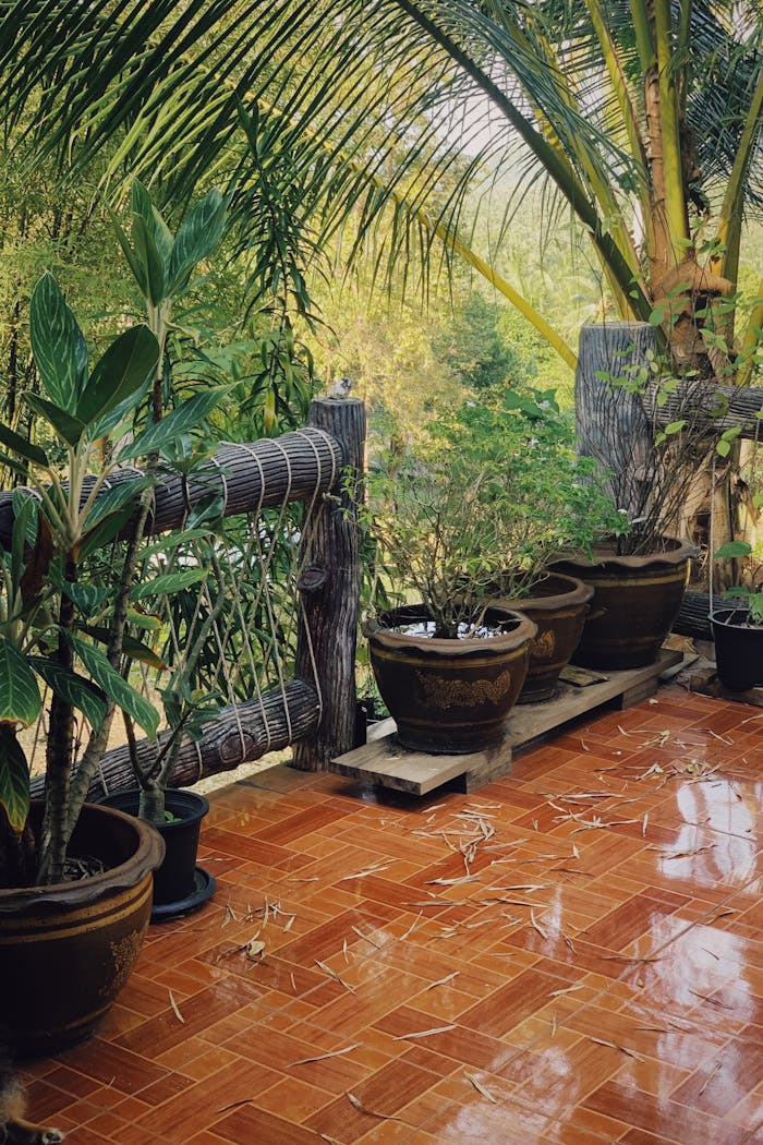 A tranquil outdoor patio with potted plants and wooden fencing, perfect for relaxation.
