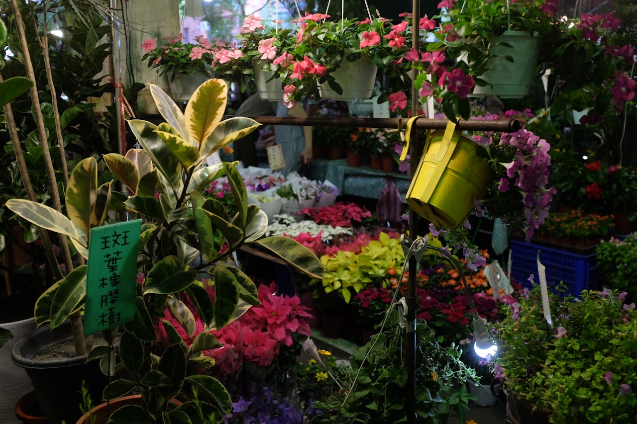 Vibrant flowers and plants on display in an indoor garden market, showcasing colorful blooms and greenery.