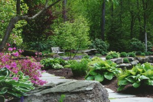 Some paths are made simply for their aesthetic value