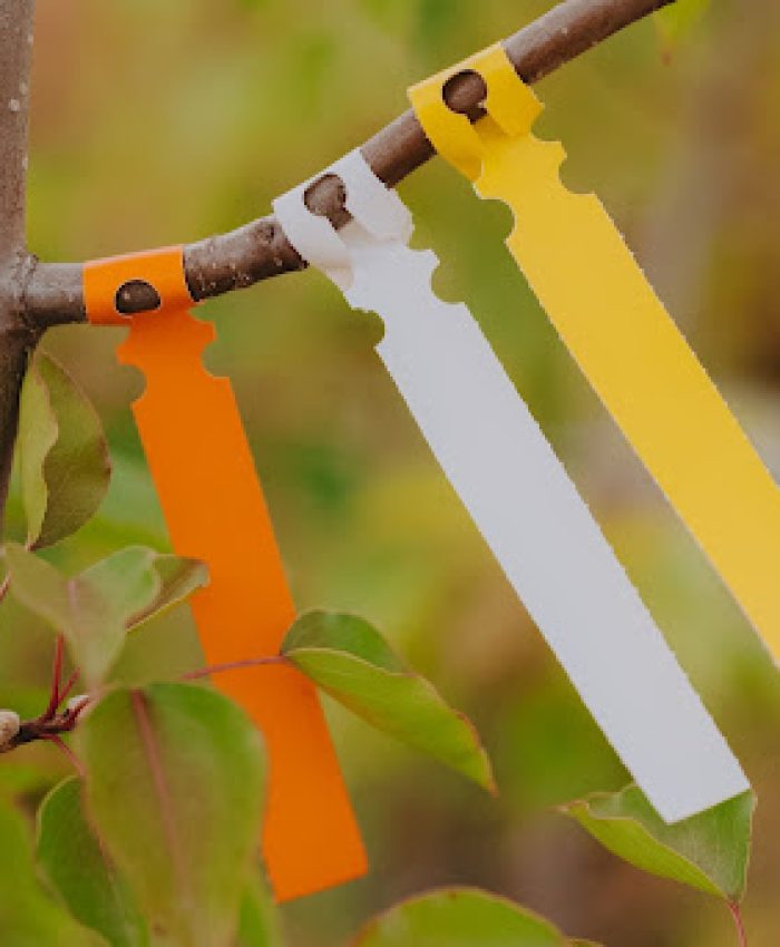 How to Read Nursery Tags